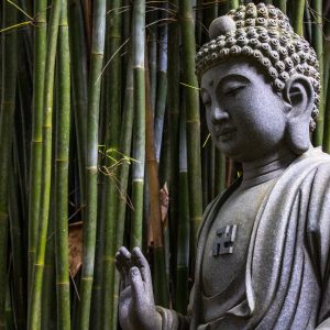 Pack Tranquilidad Ingeweb.es